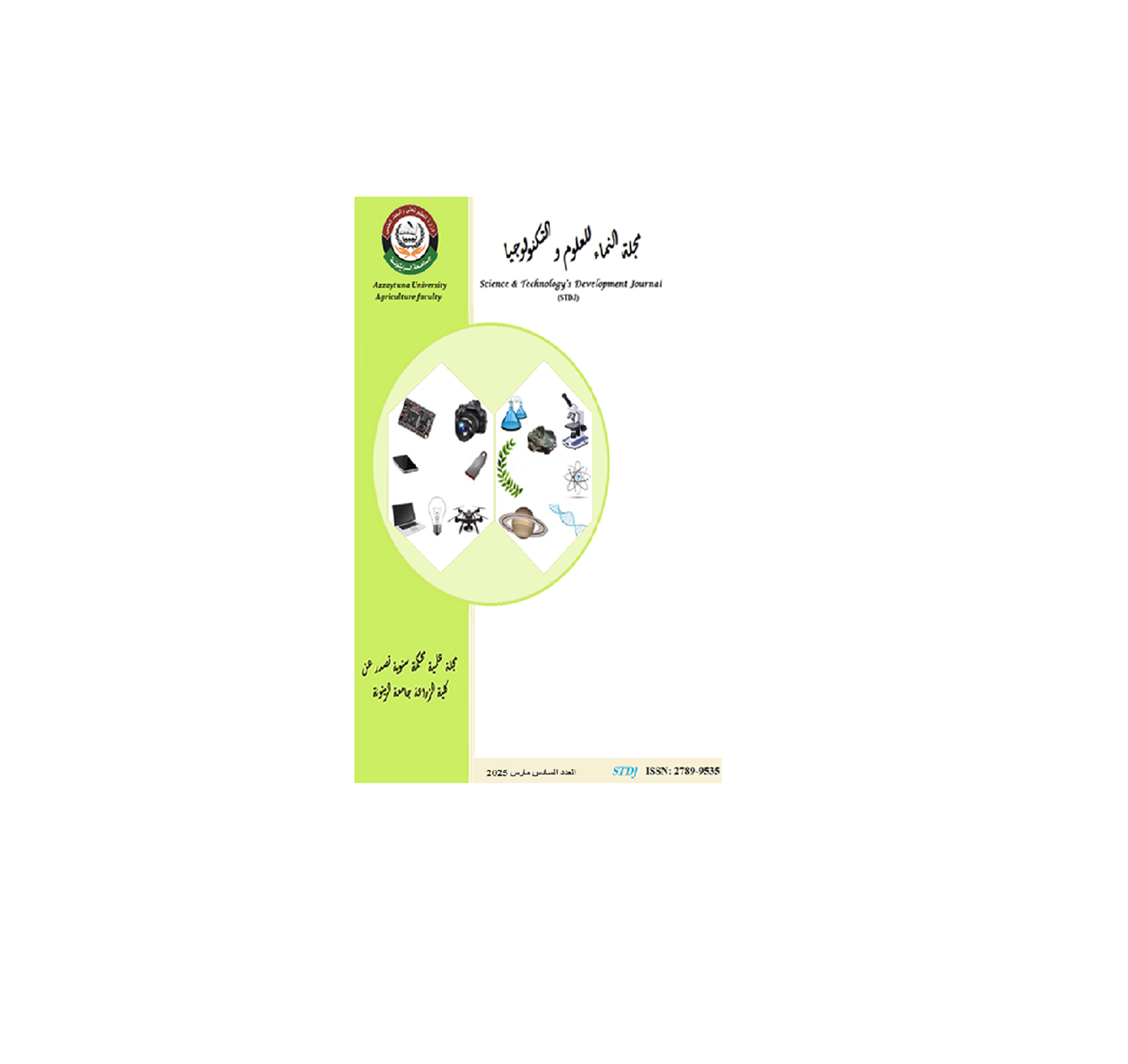 دور التسويق الإلكتروني في تحقيق الميزة التنافسية "بحث يدرس كيفية استخدام أدوات التسويق الإلكتروني لتحقيق تفوق تنافسي في السوق"، عبدالرحيم أحمد علي